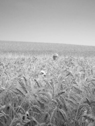 Fotó: Bűnös város